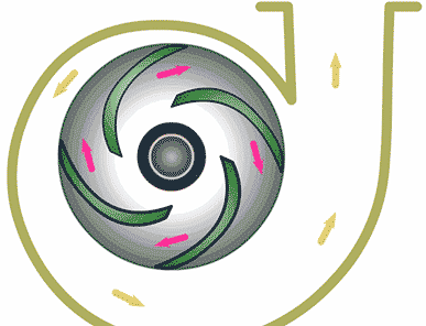 離心泵工作原理動圖 離心泵工作原理動圖